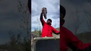 The Story of the Nike GT Cut