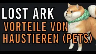 LOST ARK - Lohnen sich HAUSTIERE / PETS? (Guide Deutsch)