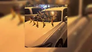 Аслан Шукаша - Эрондондон (speed up)
