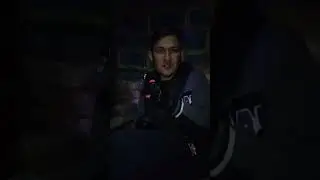 вы никогда не видели такого волка