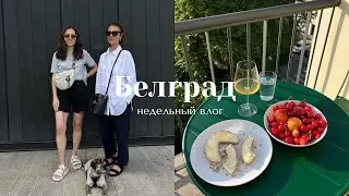 Белградский влог I первые дни лета и жизнь в новой квартире