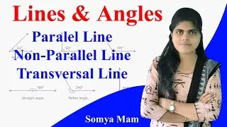 Types of LINE / Parallel lines / Non - parallel lines / Transversal line @ActiveEducationPro