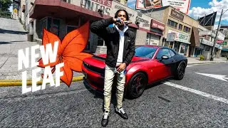 I played New Leaf RP for The 1st Time GTA 5 RP