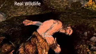 Skyrim Mod: Real Wildlife