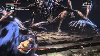 BloodBorne Амигдала проклятая чаша