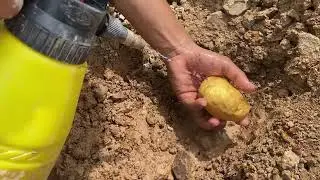 Amazing finding a lot of treasure gold Used the detector to search under stone