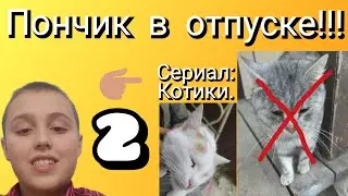 Сериал 