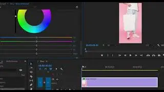 AP/Les.49.(‌How to Chane items Color in Premiere Pro)