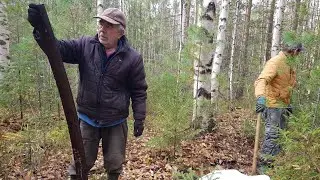 полувековой металл в тайге