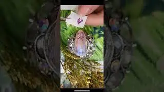 DIY Nail Leaves Stickers Natural Nail Design 😍