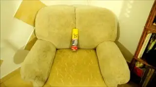 Fabric Upholstery Cleaning (Armchairs, Sofas, Chairs)