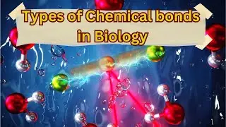 Types of Bonds in Biology | the chemical basis of life -1
