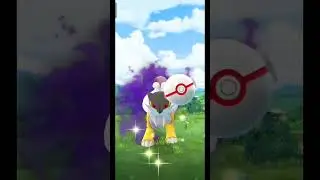 Unlucky day! Raikou could not be caught. #pokemongo #teamrocket #raid #rare #shinypokemon