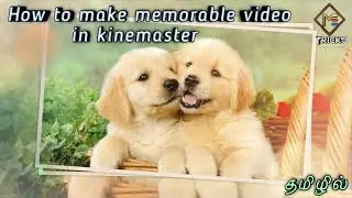 How to make memorable video in kinemaster in Tamil.