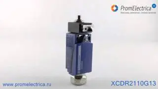 XCDR2110G13 Концевик с ручным сбросом, кнопочный плунжер
