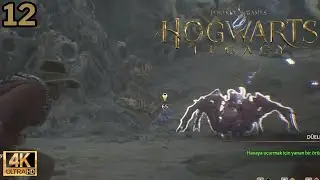 EXPELLIARMUS !  |  HOGWARTS LEGACY TÜRKÇE | [12. BÖLÜM ] [4K]