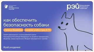 Как обеспечить безопасность собаки