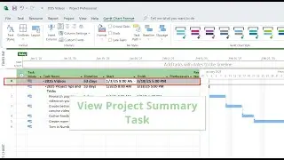 Understanding the Project Summary Task in MS Project 2025