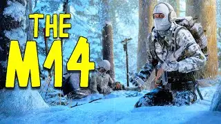 THE M14! - Vigor