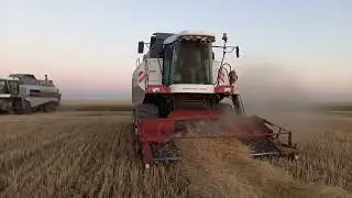 Уборка 2022. Комбайн Вектор еле едет по двойному валку.