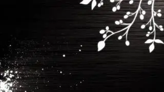 Cressida-Two-O-Ten.wmv