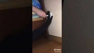 как издеваться над мужом