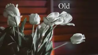 Top 15 Free Lightroom presets