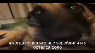 14 июля 2023 г.