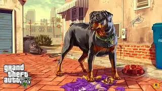 GTA 5 free now | Epic Games Store| servers down| error 500 |403 Forbidden |Error 404