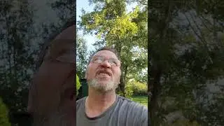 ДАЧА В ГЕРМАНИИ @Русский Немец в Германии