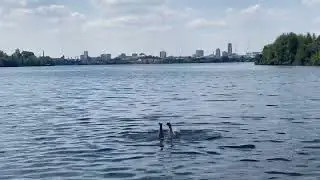 Сходил искупаться на карьеры.