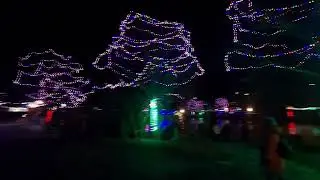 the amazing bowring park with Christmas lighting!