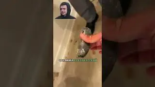 Доставка подарка из космоса 🤯😱