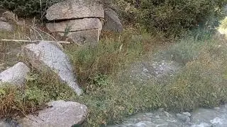 приятные звуки потока небольшого ручейка в горах / pleasant sounds of a small river flow