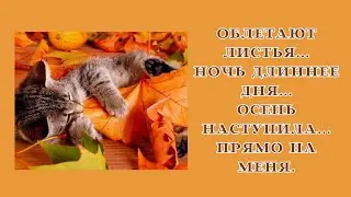 Облетают листья...  Ночь длиннее дня... Осень наступила...Прямо на меня...😍🤣😂