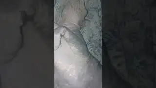 чур я в домике ха ха #music
