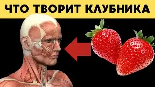 КЛУБНИКА. Почему нужно есть? И как ХРАНИТЬ КЛУБНИКУ