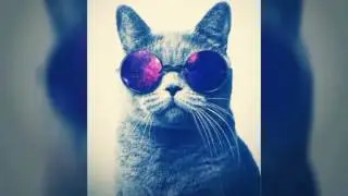 Прикольные животные😎