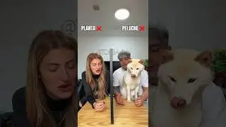 WHO WON?🤣