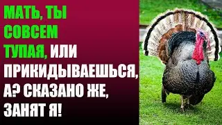 Мать, ты совсем тупая, или прикидываешься, а? Сказано же, занят я!