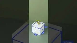 Cube