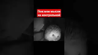 Мои мысли на контрольной😂☃️ 