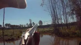 Осенняя охота на утку