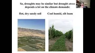 The Role of Water in Tree Fruit Physiology & Quality