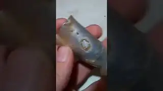 находка на копе