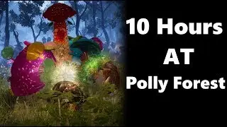 10 Hours AT Polly Forest :Black Desert Online