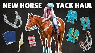 HUGE NEW HORSE TACK HAUL + TRY ON!