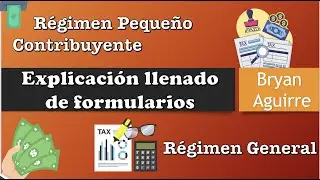 EXPLICACIÓN: Como llenar formularios de IVA Régimen Pequeño Contribuyente y Régimen General 💰