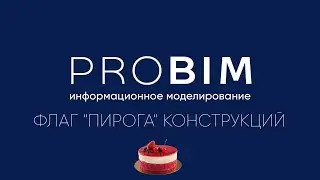 PROBIM. Флаг 