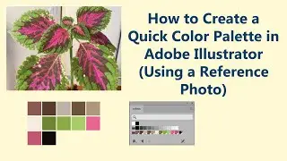 Quick Color Palette in Adobe Illustrator (Using a Reference Photo)